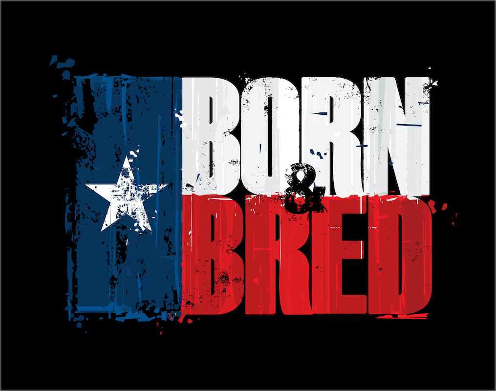 Grunge Textured Illustration of the phrase “Born and Bred" depicted as a Texan Flag. Custom Lettering