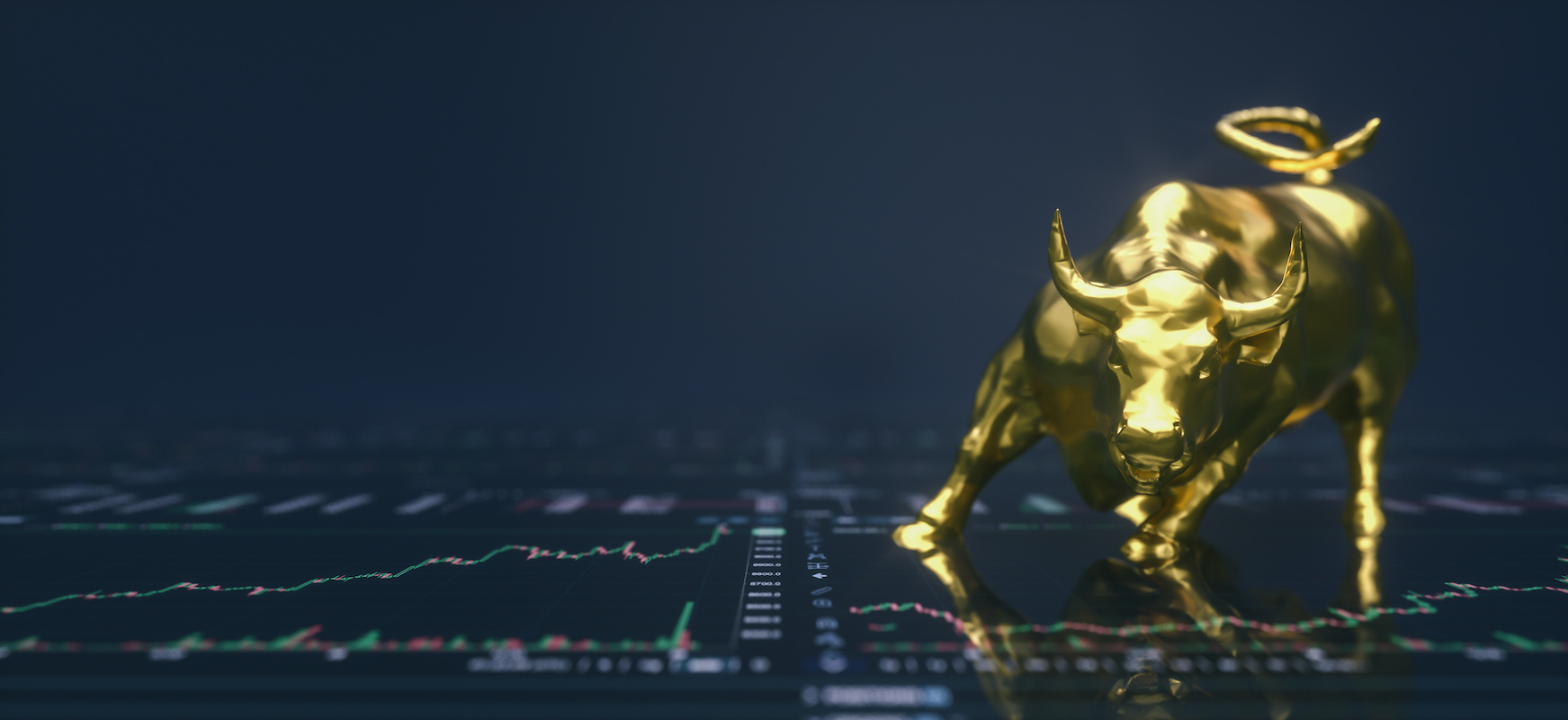 bull market investing www.paxfinancialgroup.com