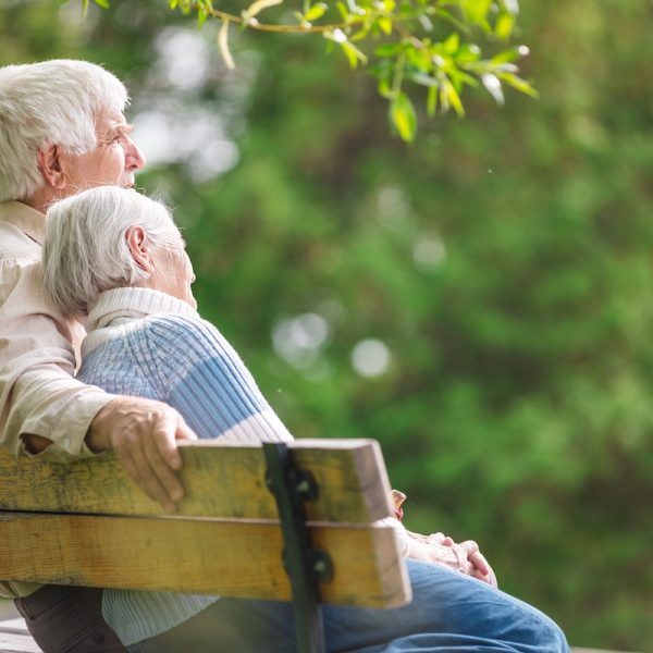 Plan Your Legacy: San Antonio Financial Advisors for Philanthropy and Smooth Transitions