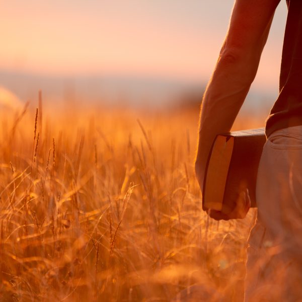 What Is Biblical Responsible Investing? Part II